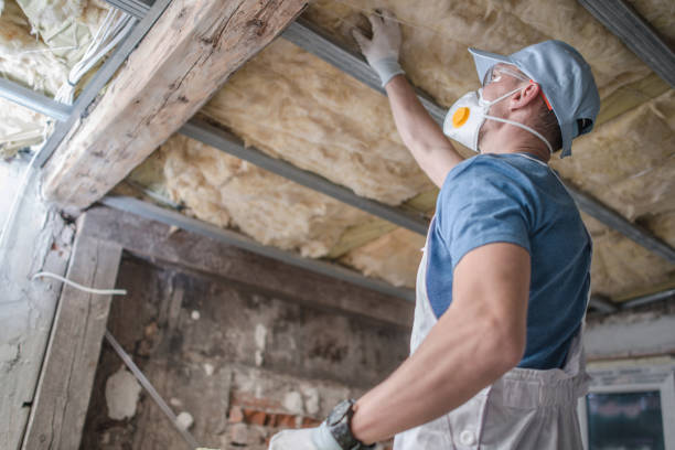 Best DIY Insulation Kits and Guidance in Aviston, IL