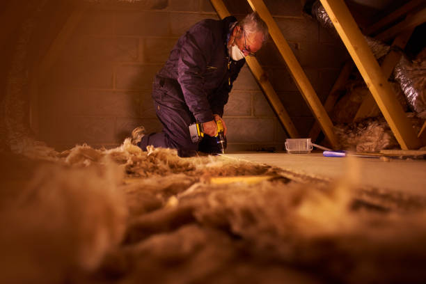 Best Eco-Friendly Insulation in Aviston, IL